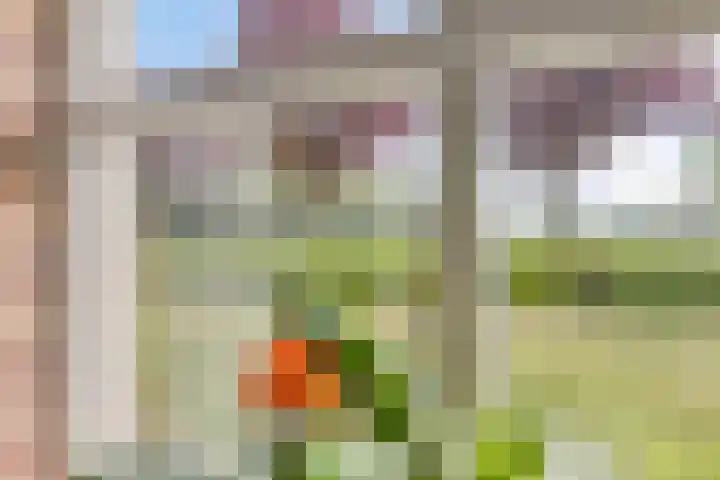Braamtseweg 4 Kilder thumbnail 15