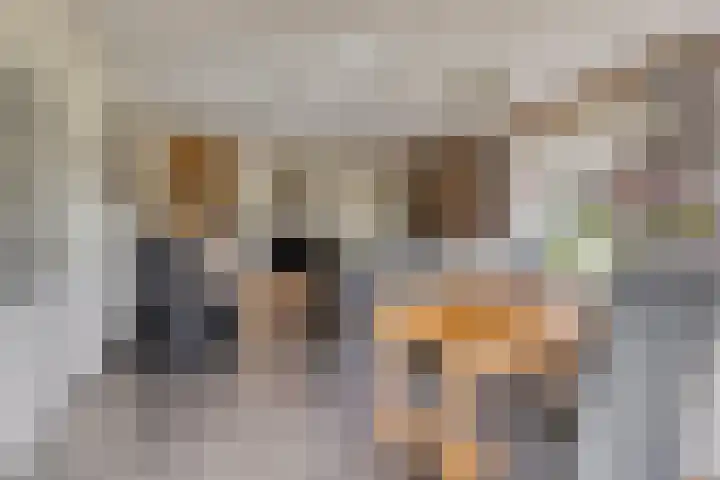 Braamtseweg 4 Kilder thumbnail 17
