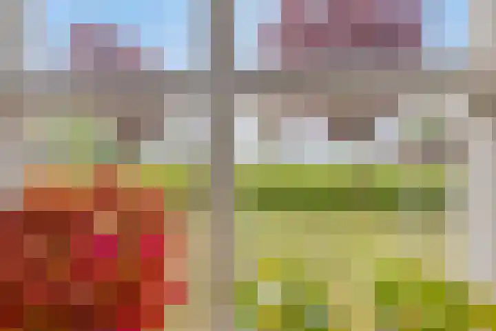 Braamtseweg 4 Kilder thumbnail 19