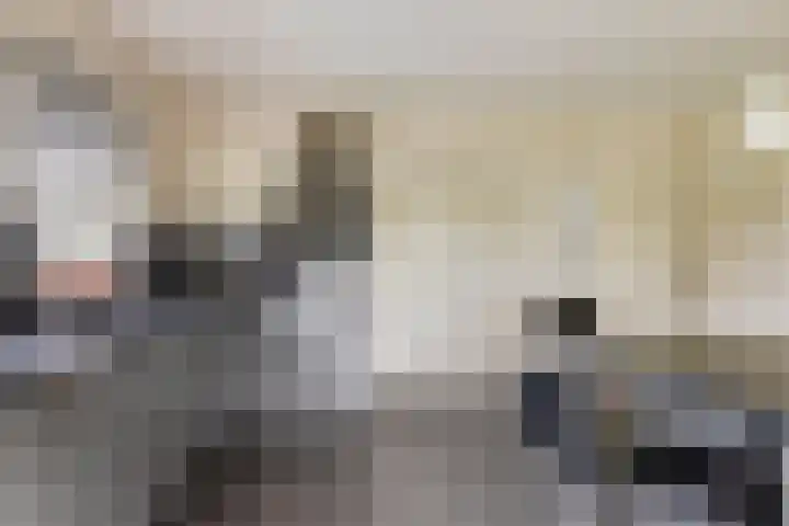 Braamtseweg 4 Kilder thumbnail 23