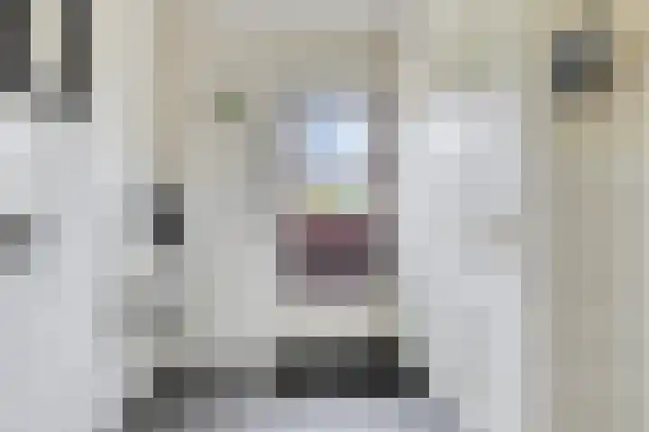 Braamtseweg 4 Kilder thumbnail 24