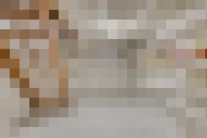 Braamtseweg 4 Kilder thumbnail 34
