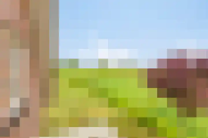 Braamtseweg 4 Kilder thumbnail 38