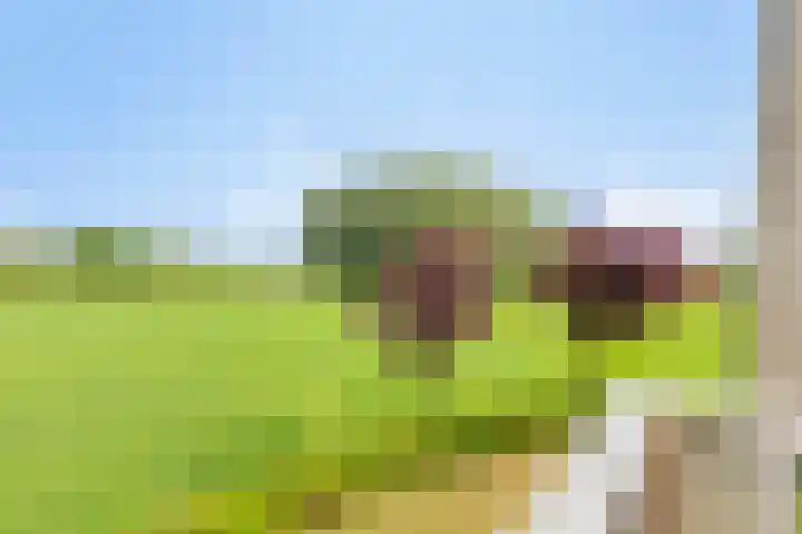 Braamtseweg 4 Kilder thumbnail 39