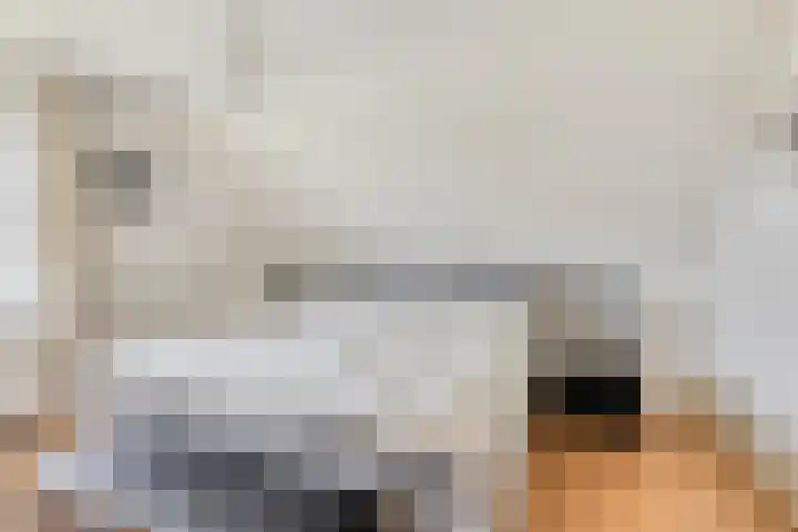 Braamtseweg 4 Kilder thumbnail 40