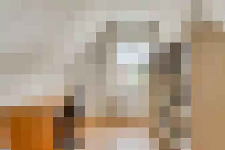Braamtseweg 4 Kilder thumbnail 46