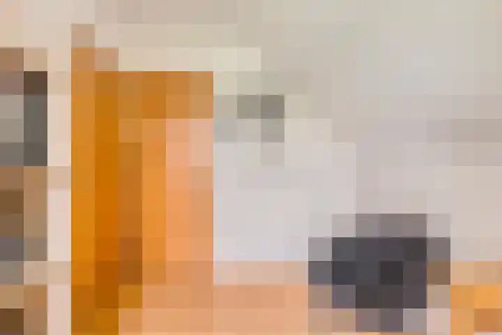 Braamtseweg 4 Kilder thumbnail 47