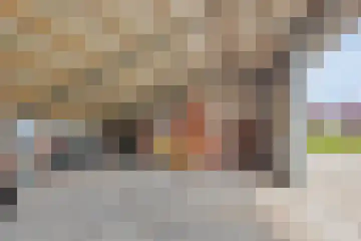 Braamtseweg 4 Kilder thumbnail 58