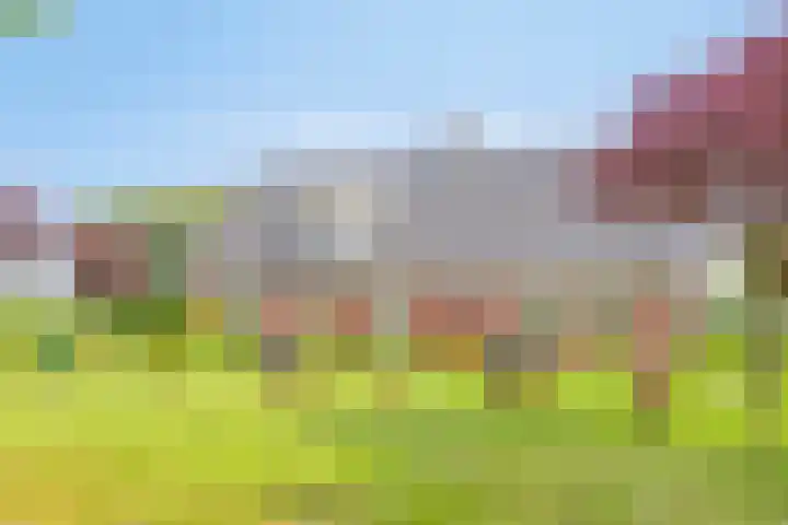 Braamtseweg 4 Kilder thumbnail 60