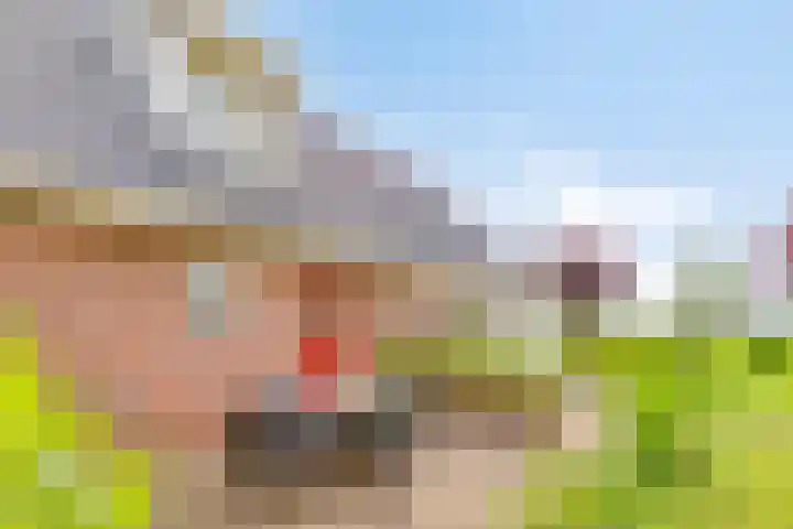 Braamtseweg 4 Kilder thumbnail 62