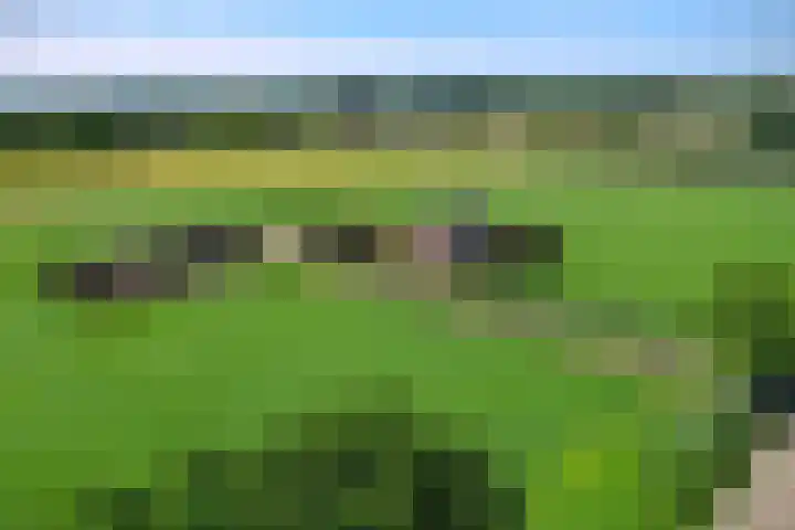 Braamtseweg 4 Kilder thumbnail 63
