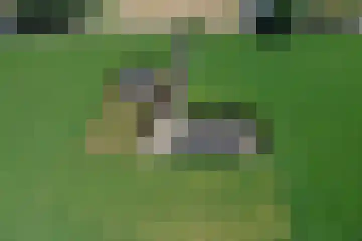 Braamtseweg 4 Kilder thumbnail 64