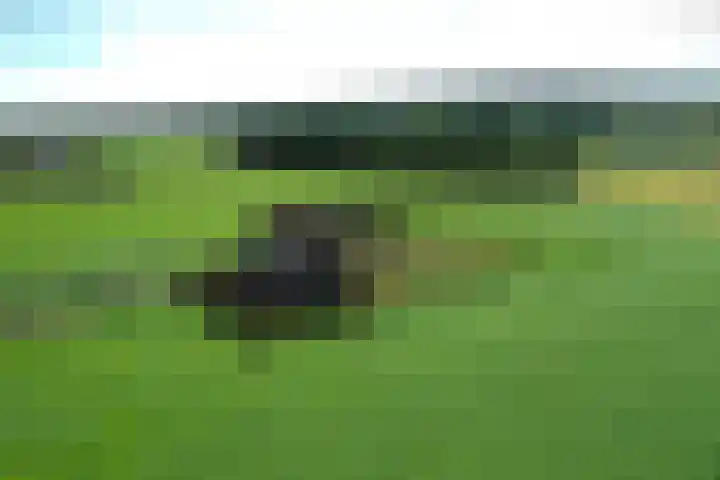 Braamtseweg 4 Kilder thumbnail 67