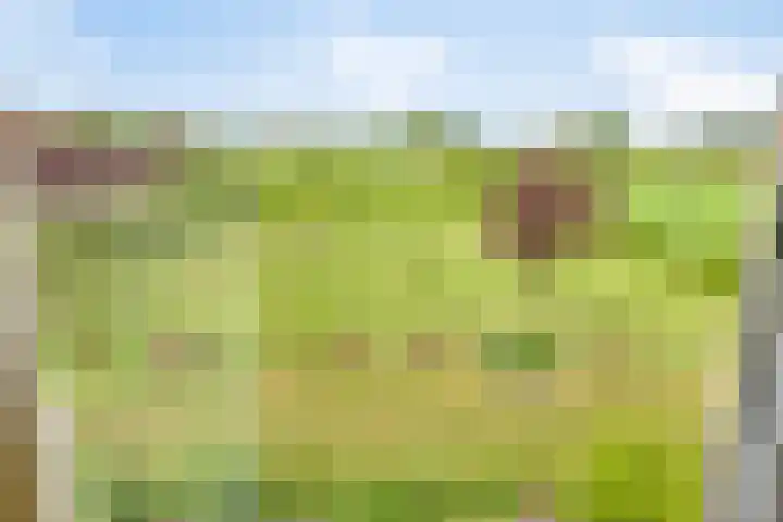 Braamtseweg 4 Kilder thumbnail 68