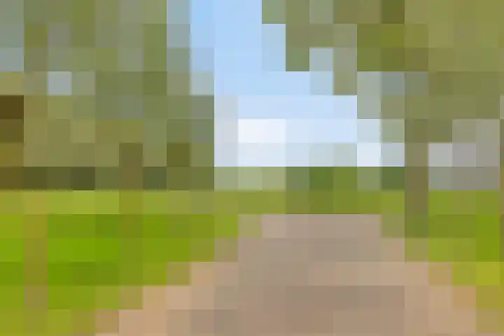 Braamtseweg 4 Kilder thumbnail 69