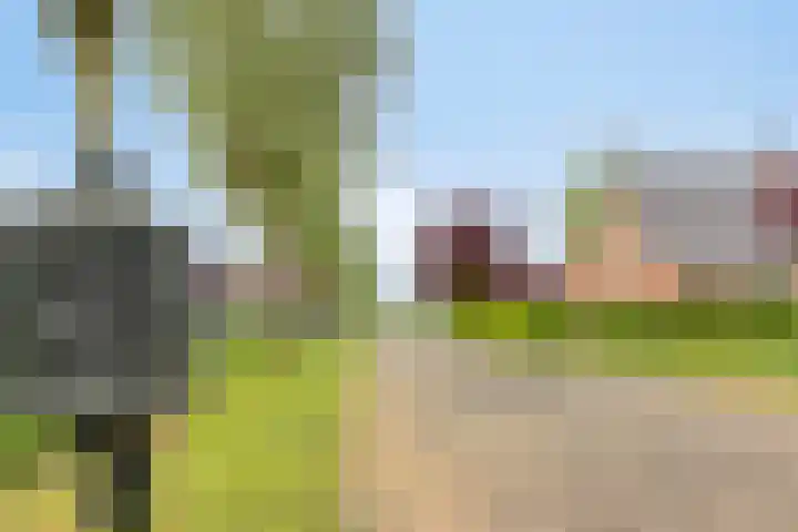 Braamtseweg 4 Kilder thumbnail 70
