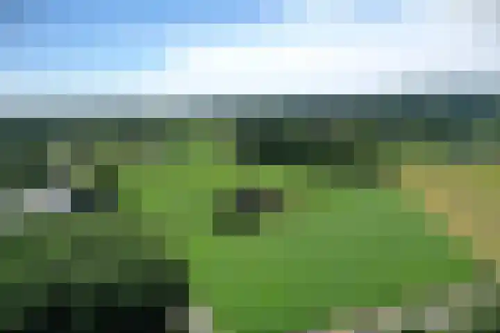 Braamtseweg 4 Kilder thumbnail 71