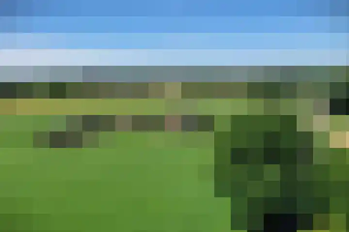 Braamtseweg 4 Kilder thumbnail 74