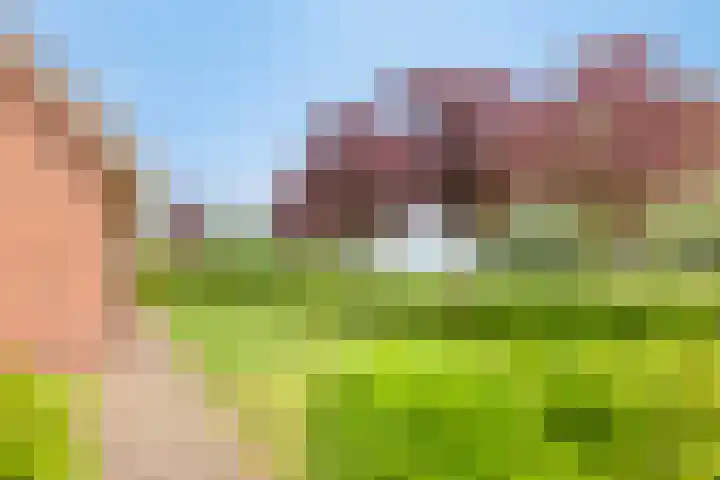 Braamtseweg 4 Kilder thumbnail 79