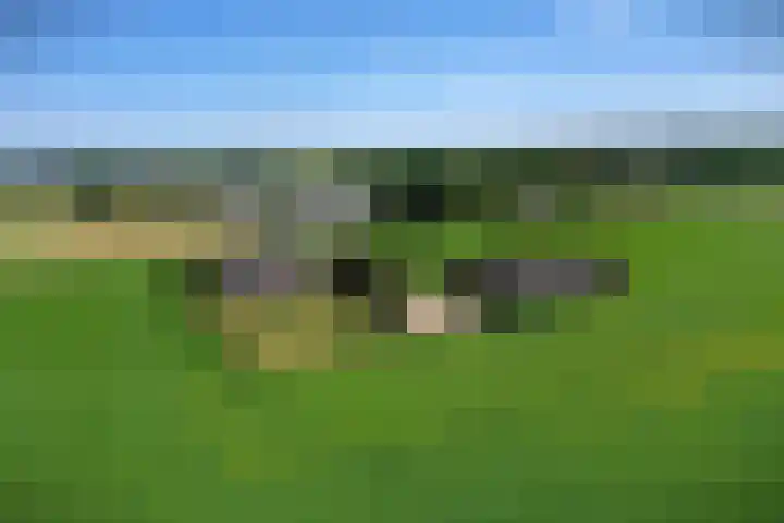Braamtseweg 4 Kilder thumbnail 80