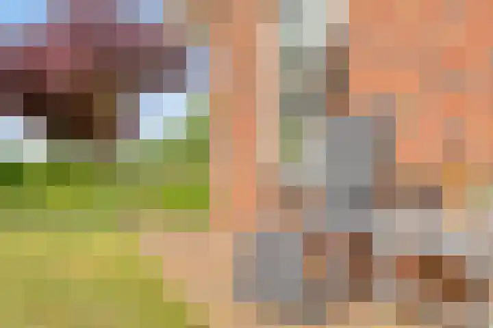 Braamtseweg 4 Kilder thumbnail 82