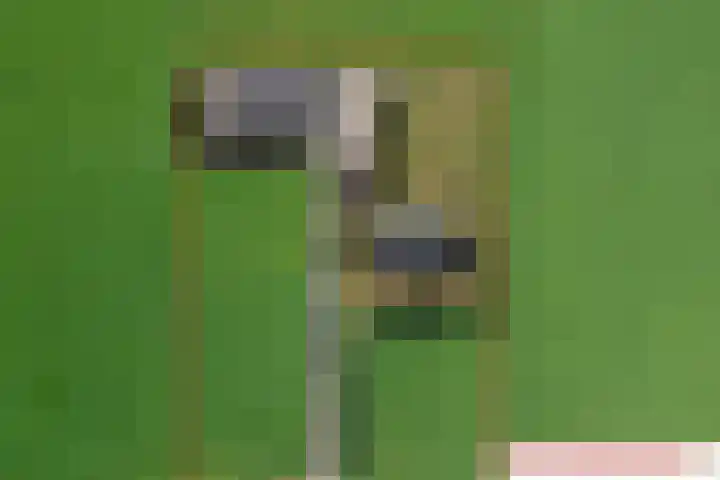 Braamtseweg 4 Kilder thumbnail 83