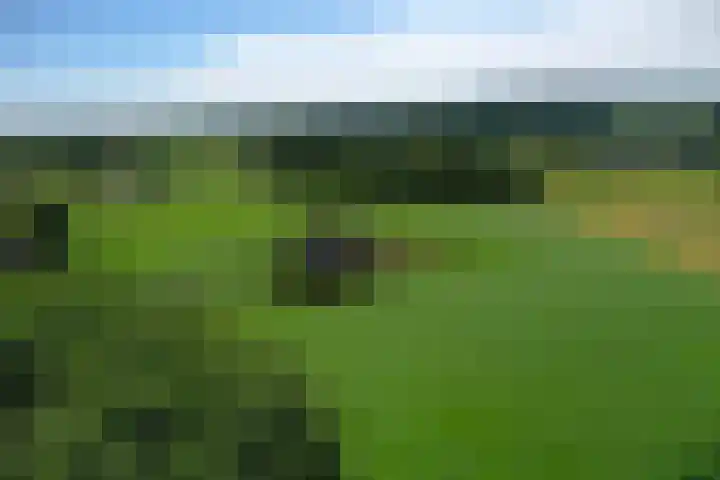 Braamtseweg 4 Kilder thumbnail 85