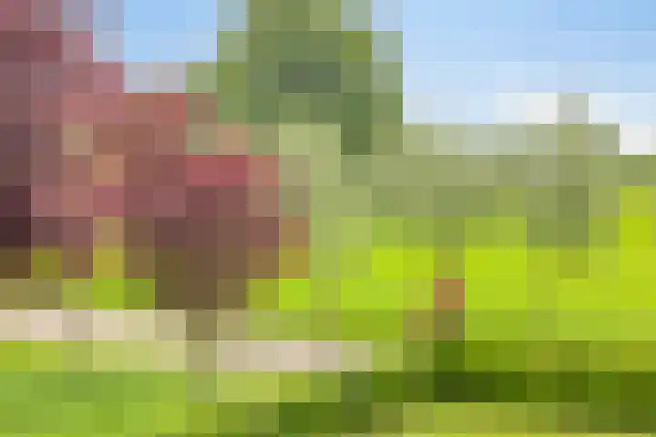 Braamtseweg 4 Kilder thumbnail 87