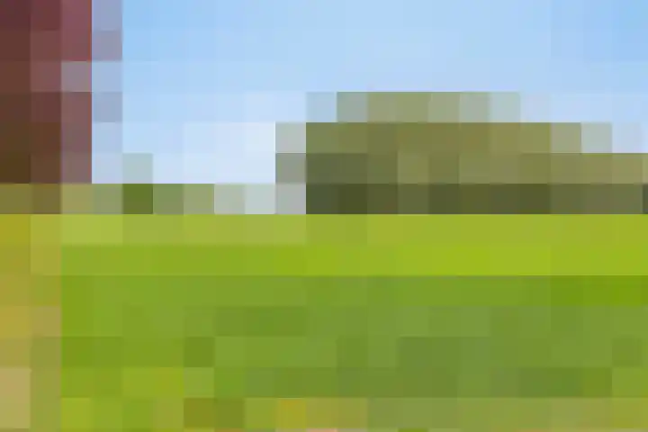 Braamtseweg 4 Kilder thumbnail 88