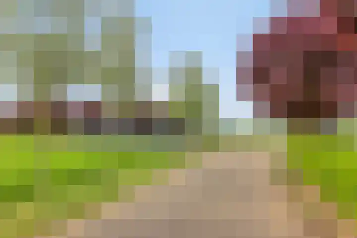 Braamtseweg 4 Kilder thumbnail 89