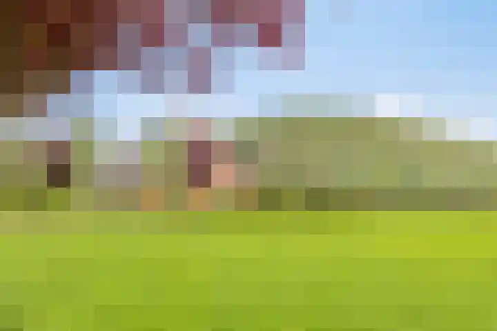 Braamtseweg 4 Kilder thumbnail 91
