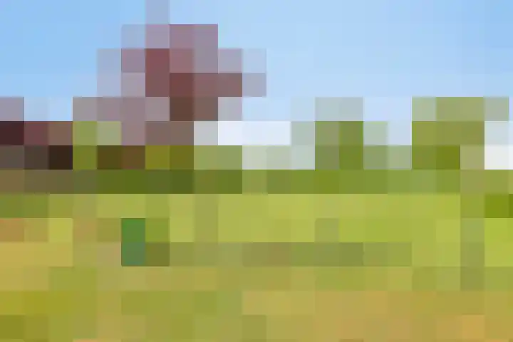 Braamtseweg 4 Kilder thumbnail 93
