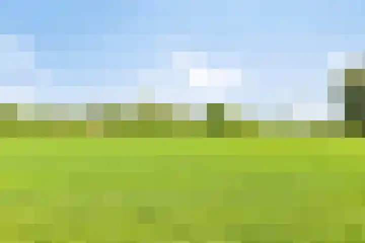 Braamtseweg 4 Kilder thumbnail 94
