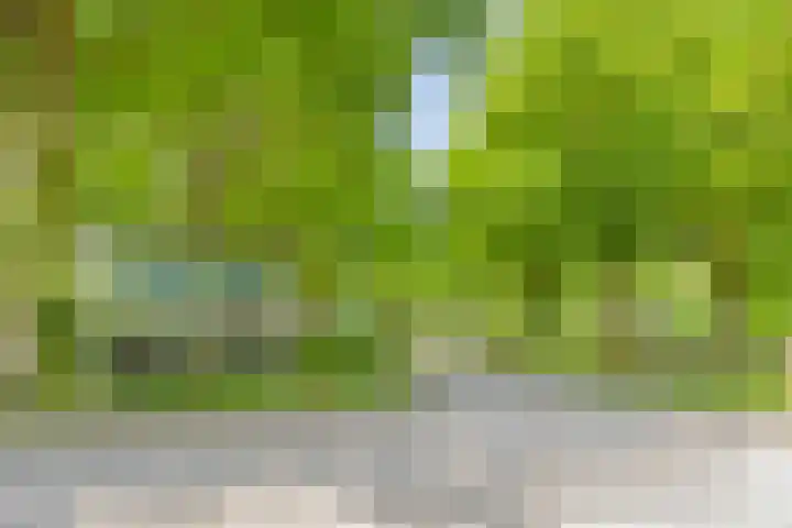 Braamtseweg 4 Kilder thumbnail 95