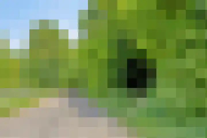 Braamtseweg 4 Kilder thumbnail 96