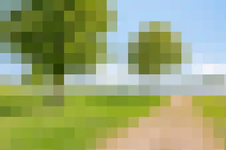 Braamtseweg 4 Kilder thumbnail 97
