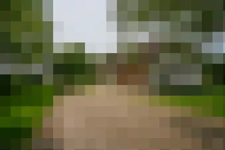 Braamweg 11 Neerkant thumbnail 10