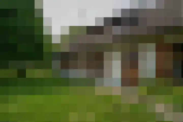 Braamweg 11 Neerkant thumbnail 11
