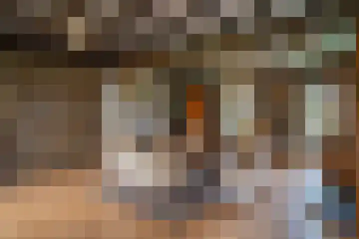 Braamweg 11 Neerkant thumbnail 24
