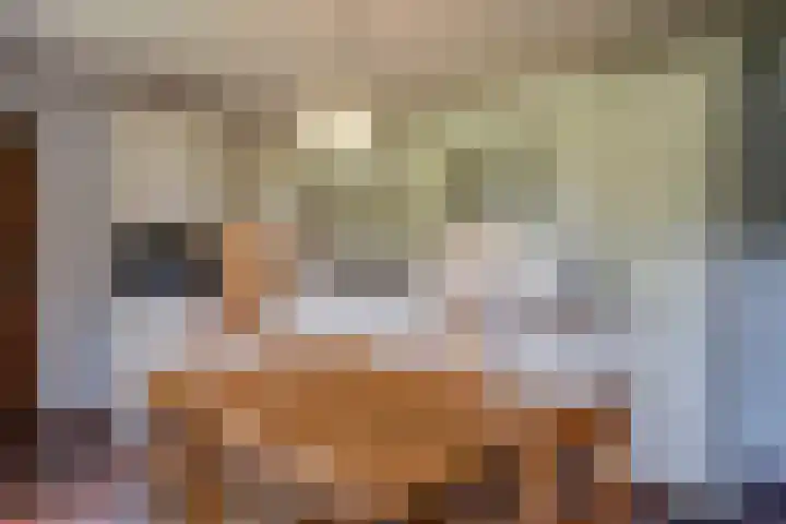 Braamweg 11 Neerkant thumbnail 36