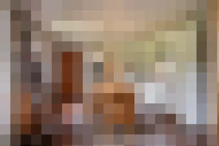 Braamweg 11 Neerkant thumbnail 37
