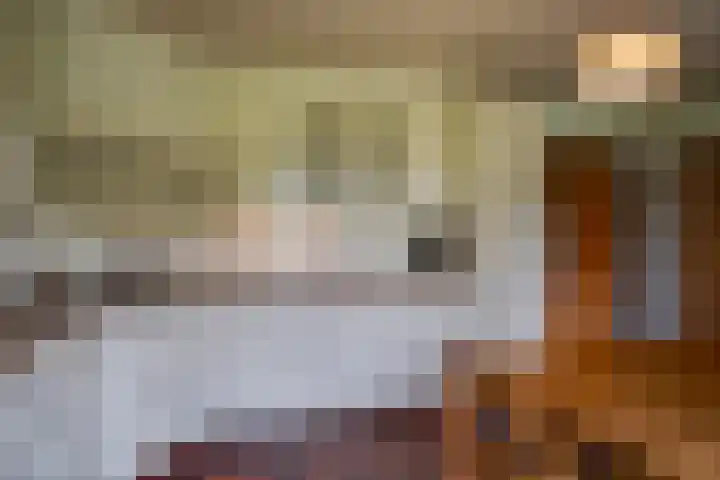 Braamweg 11 Neerkant thumbnail 38
