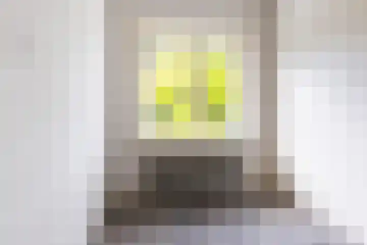 Braamweg 11 Neerkant thumbnail 39