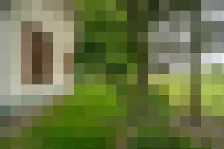 Braamweg 11 Neerkant thumbnail 6