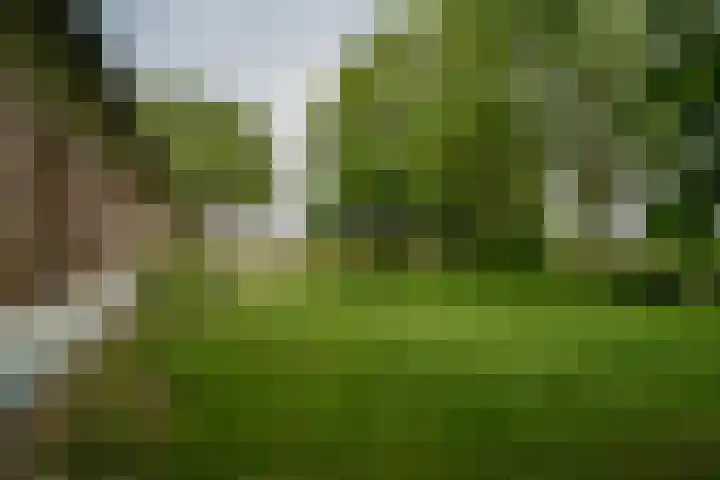 Braamweg 11 Neerkant thumbnail 63