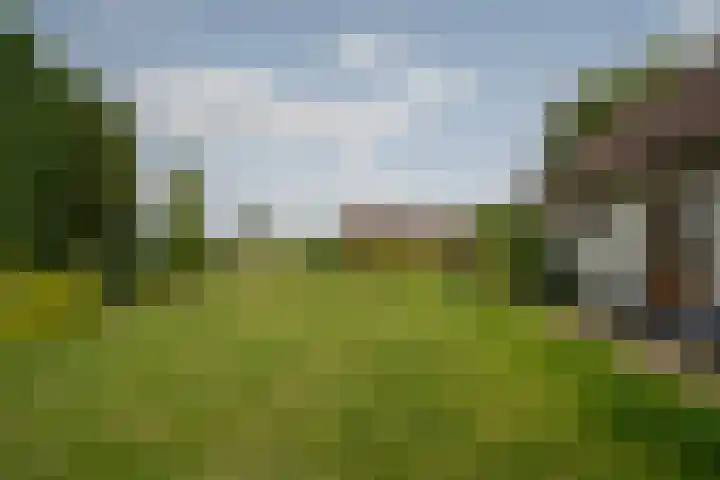 Braamweg 11 Neerkant thumbnail 64