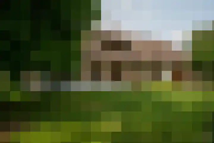 Braamweg 11 Neerkant thumbnail 66
