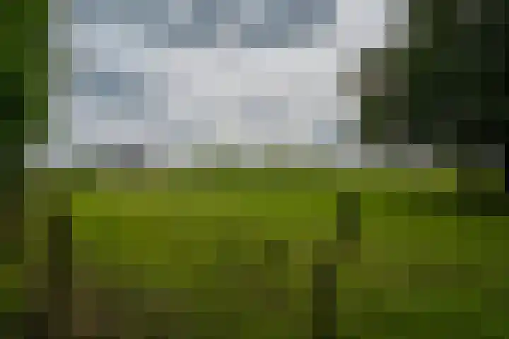 Braamweg 11 Neerkant thumbnail 69