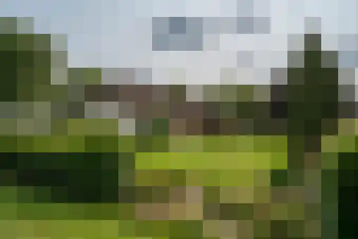 Braamweg 11 Neerkant thumbnail 75