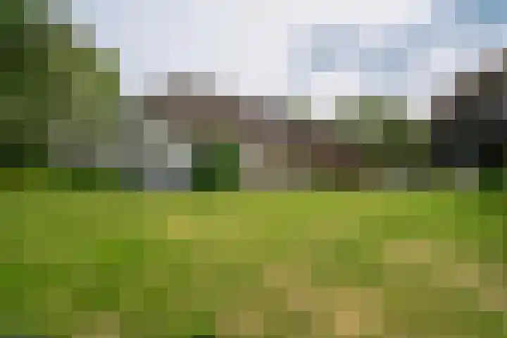 Braamweg 11 Neerkant thumbnail 9